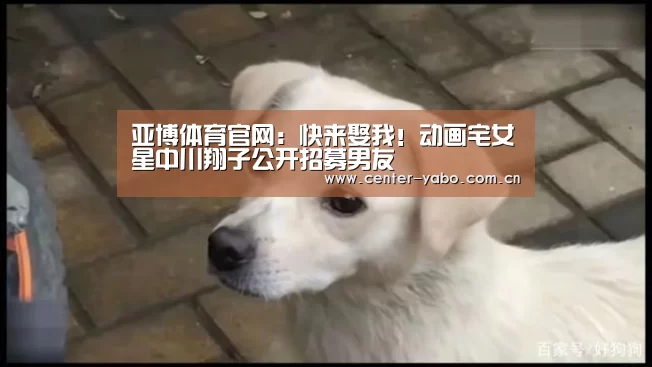亚博体育官网:快来娶我!动画宅女星中川翔子公开招募男友(图2) 亚博体育官网