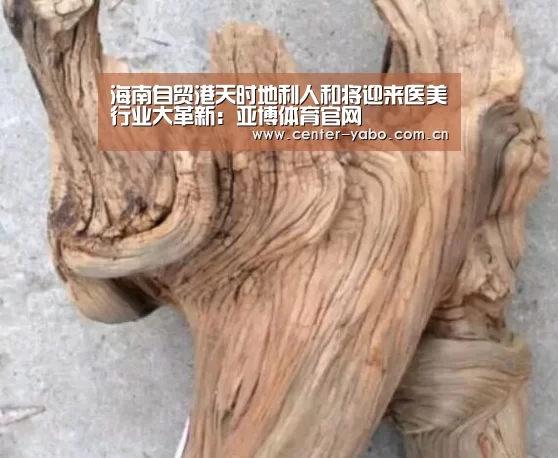 海南自贸港天时地利人和将迎来医美行业大革新:亚博体育官网(图4) 亚博平台