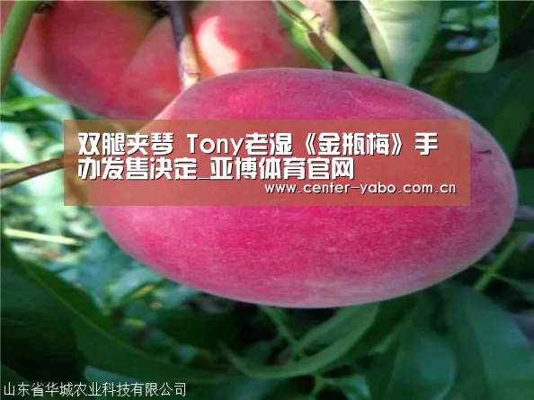 双腿夹琴 Tony老湿《金瓶梅》手办发售决定_亚博体育官网(图3) 亚博平台