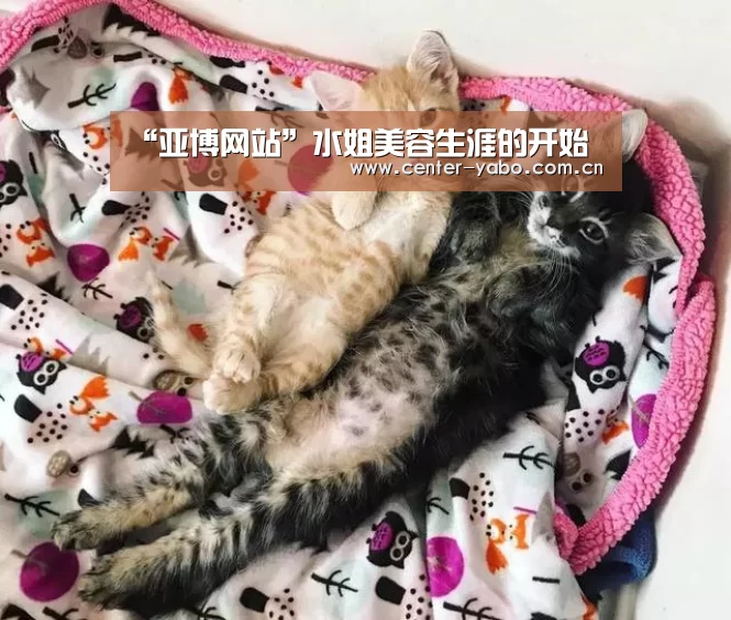 “亚博网站”水姐美容生涯的开始(图4) 亚博app