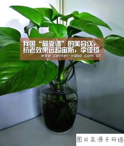 我国“最靠谱”的美容仪,抗老效果远超宙斯,李佳琦:买它没有错_亚博网站(图2) 亚博体育官网